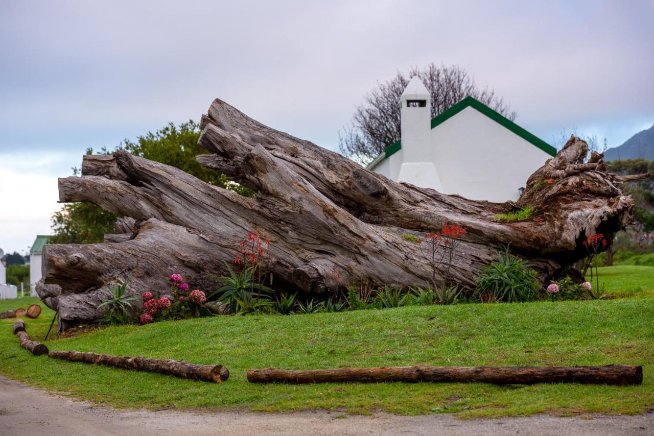 Honeyrock Cottages Kleinmond Exterior photo